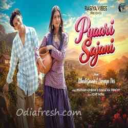 Pyaari Sajani